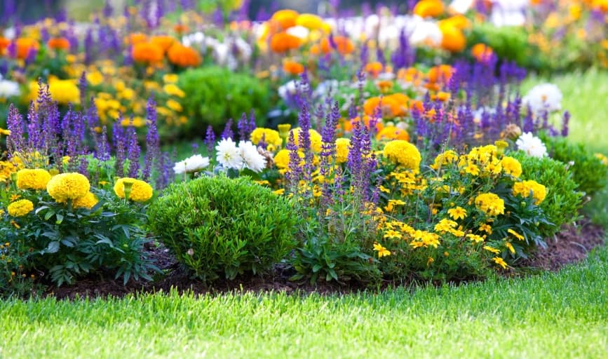 Garden bed installation by Neat and Green Landscaping