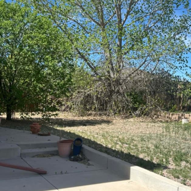 Yard maintenance and improvement work