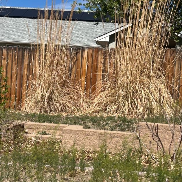 Lawn and garden installation project