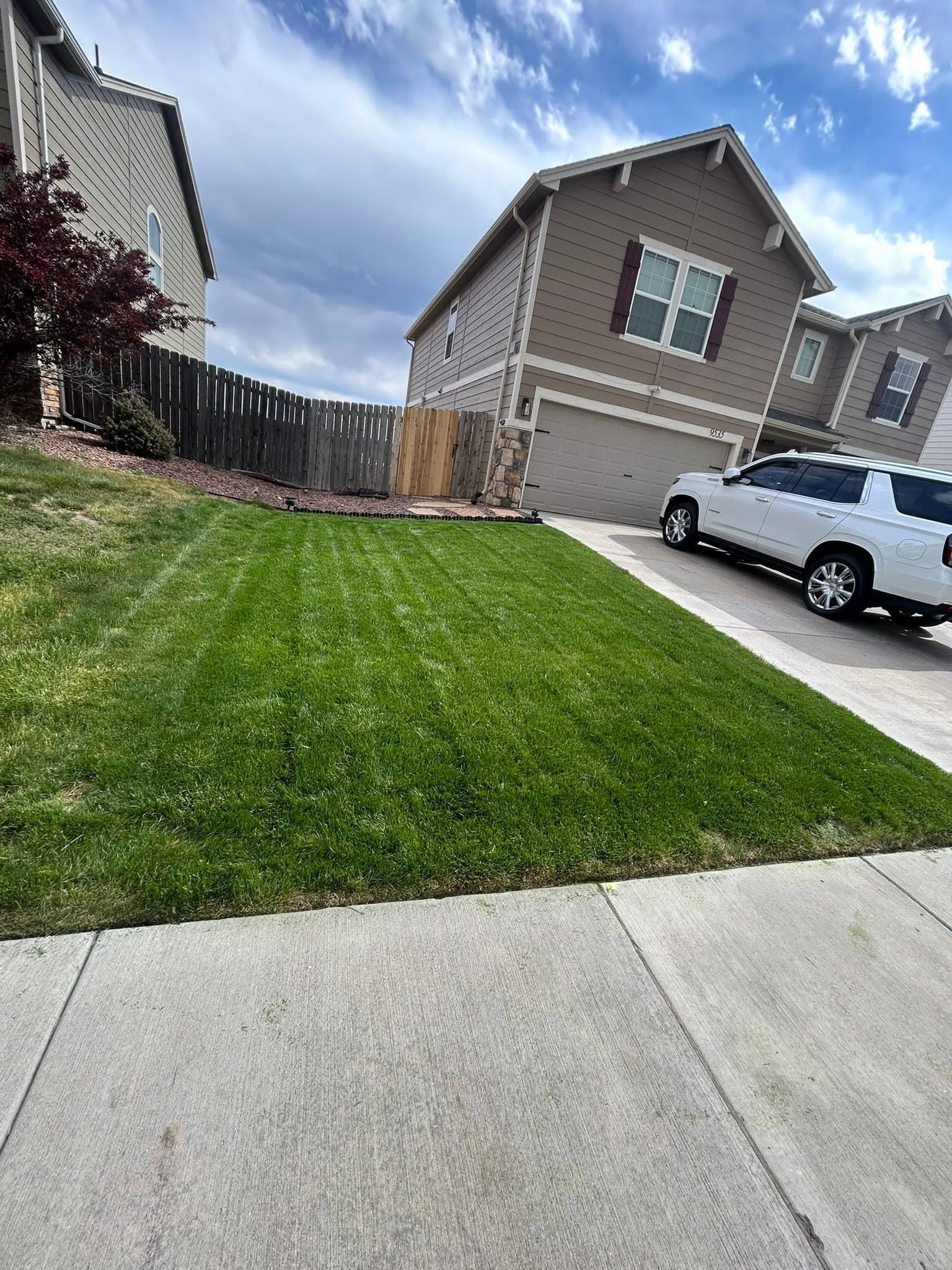 Residential property with newly seeded lawn and completed landscaping